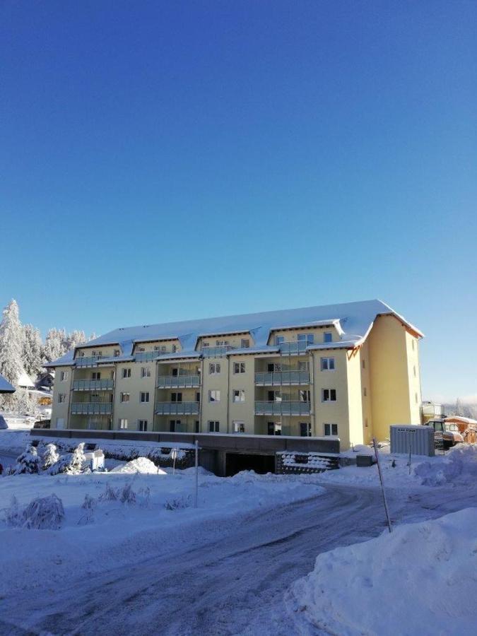 Appartement Residenz-Grafenmatt-Feldberg-Schwarzwald à Feldberg  Extérieur photo